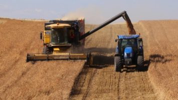 ukrayna- tahıl -arpa -mısır buğday ukraynada tahıl çok-koyun- hayvancılık -ukrayna buğday fiyatları 2017 -ukrayna buğday fiyatları 2018 -ukrayna buğday üretimi -mısır fiyatları 2017 -arpa fiyatları ne olur -serbest piyasa mısır fiyatları -yemlik mısır fiyatları