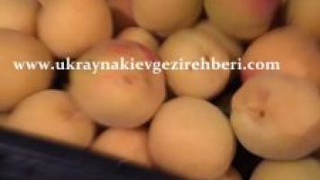Turkiyeden Ukrayna’ya sebze meyve ihracat nasıl yapılır nakliye gümruk bilgileri